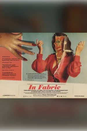 In Fabric (2019) poster