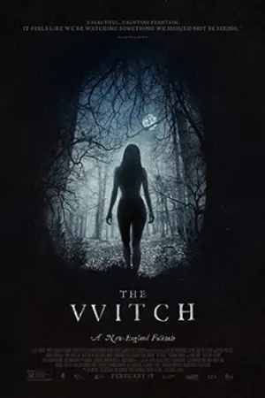 The Witch (2016) poster